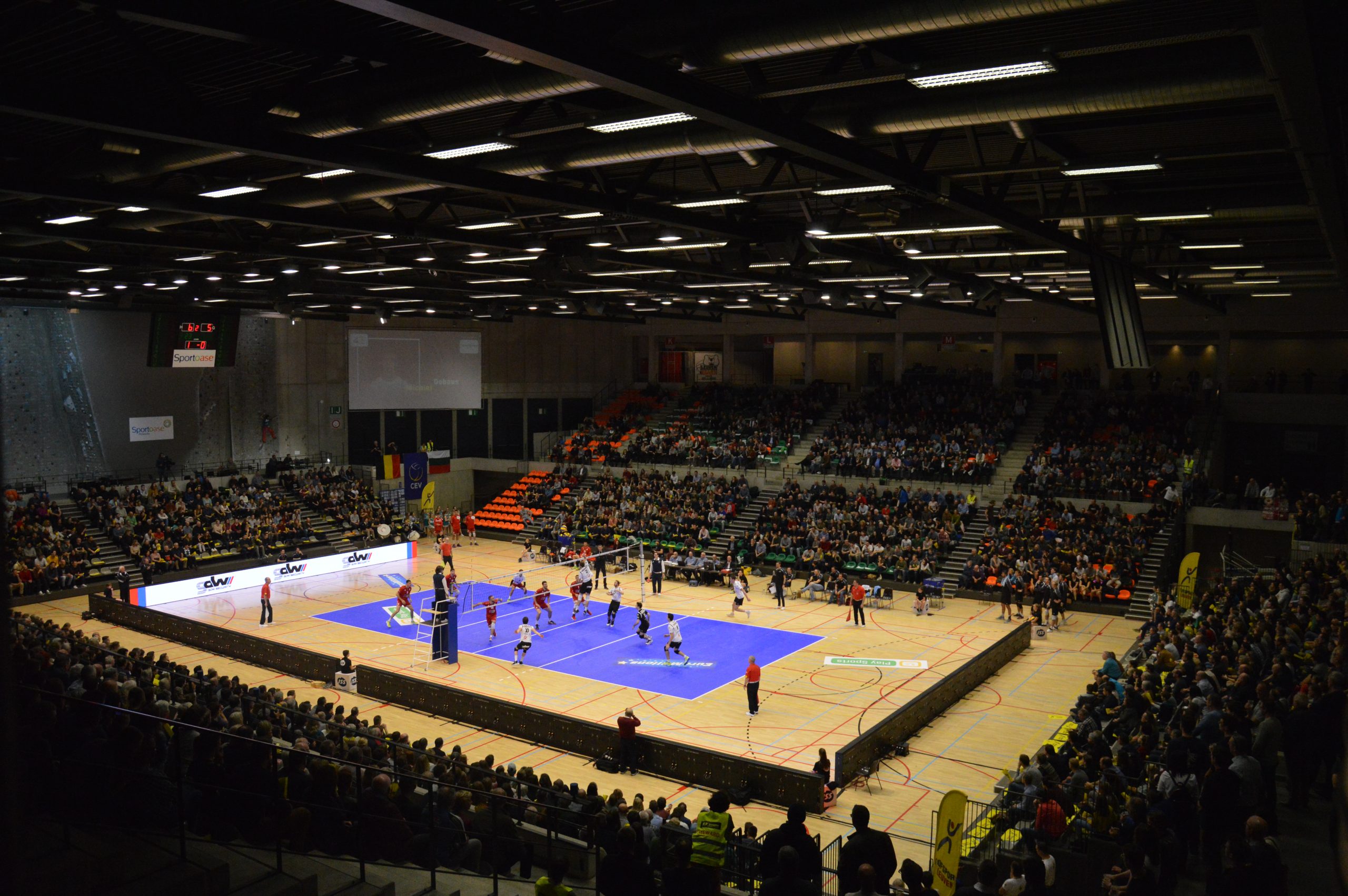 Stad Leuven deelt gratis volleybaltickets uit voor Europese topwedstrijd VHL